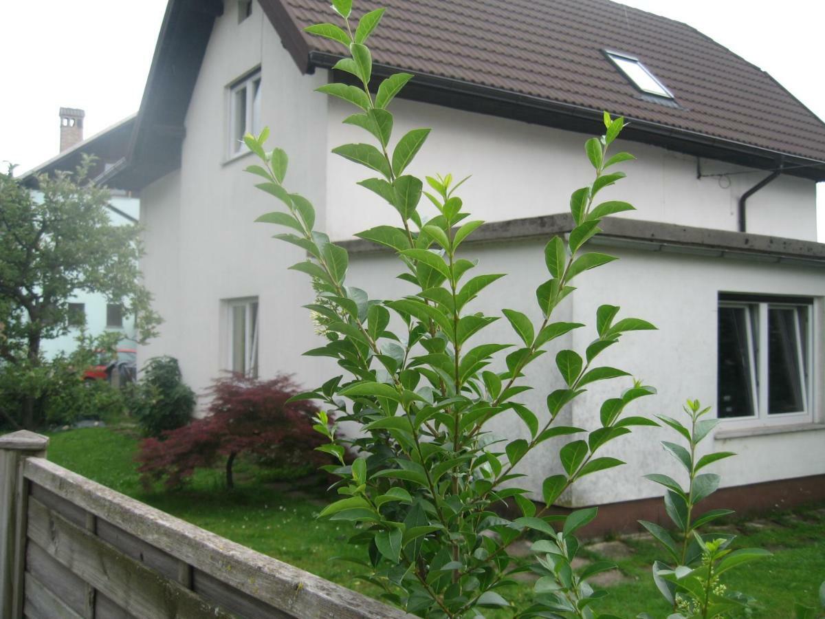 R&G Apartment Zirovnica Εξωτερικό φωτογραφία